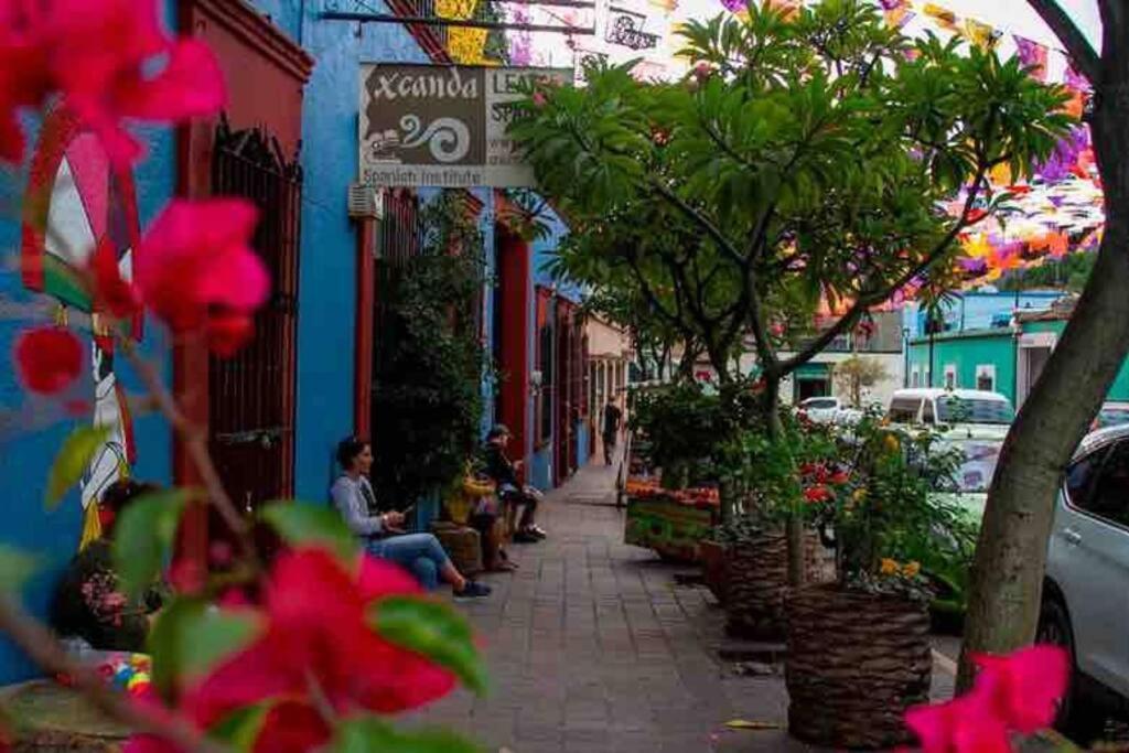 Calida Habitacion A 10 Min De Santo Domingo Oaxaca Экстерьер фото