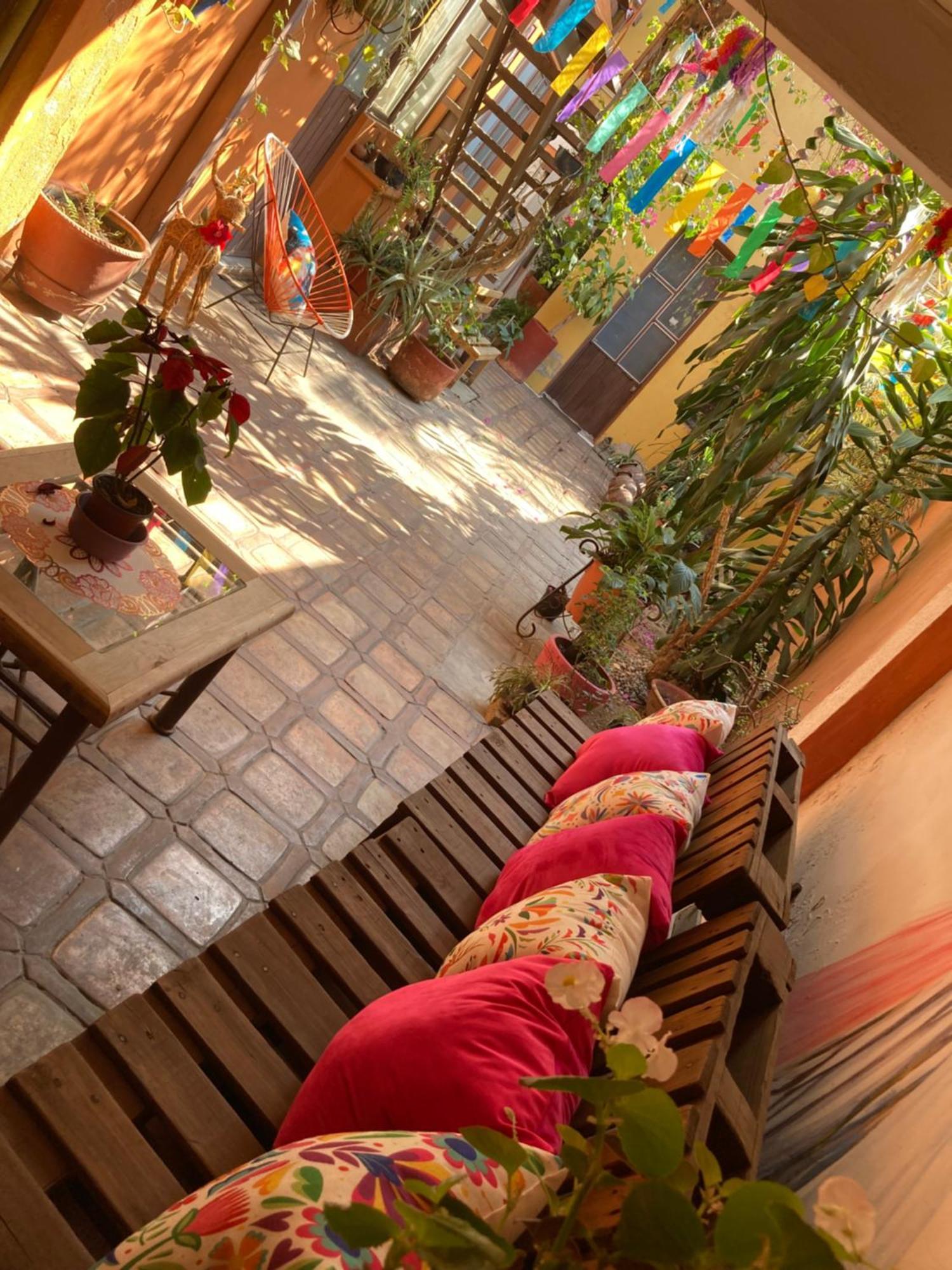 Calida Habitacion A 10 Min De Santo Domingo Oaxaca Экстерьер фото